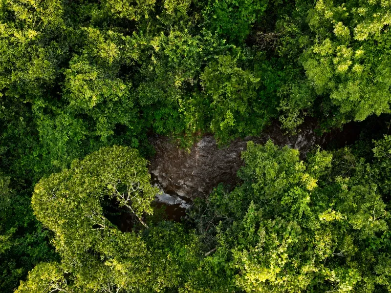 Fazenda em Franca/São Paulo — Ref RB1TTC — Imagem 9