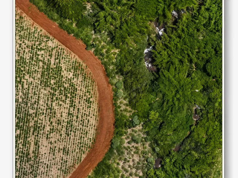 Fazenda em Franca/São Paulo — Ref RB1TTC — Imagem 15
