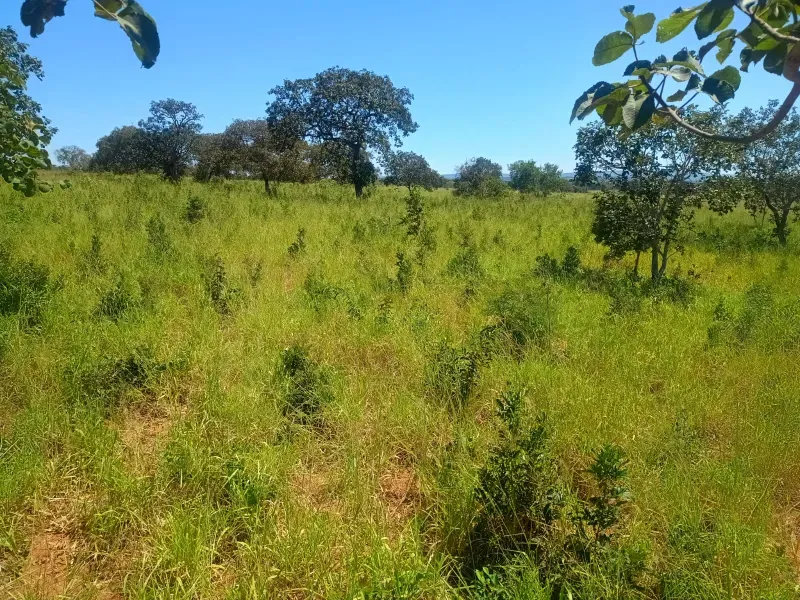 Fazenda em Francisco Dumont/Minas Gerais — Ref SPV50K — Imagem 4