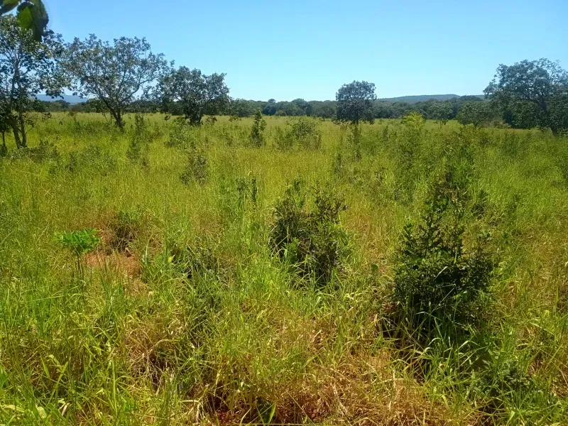 Fazenda em Francisco Dumont/Minas Gerais — Ref SPV50K — Imagem 5