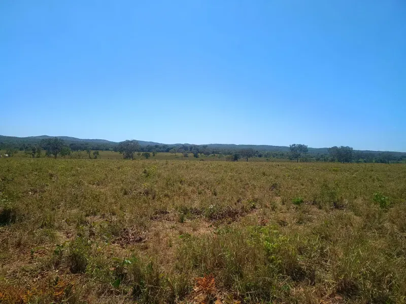 Fazenda em Francisco Dumont/Minas Gerais — Ref SPV50K — Imagem 6