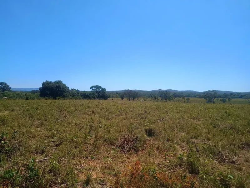 Fazenda em Francisco Dumont/Minas Gerais — Ref SPV50K — Imagem 3