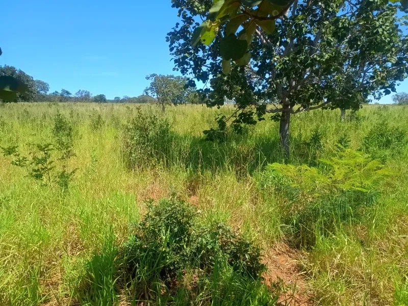 Fazenda em Francisco Dumont/Minas Gerais — Ref SPV50K — Imagem 7