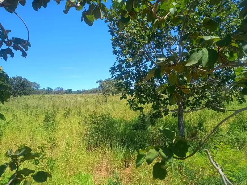 Fazenda em Francisco Dumont/Minas Gerais — Ref SPV50K — Imagem 8