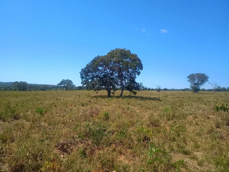 Fazenda em Francisco Dumont/Minas Gerais — Ref SPV50K — Imagem 9