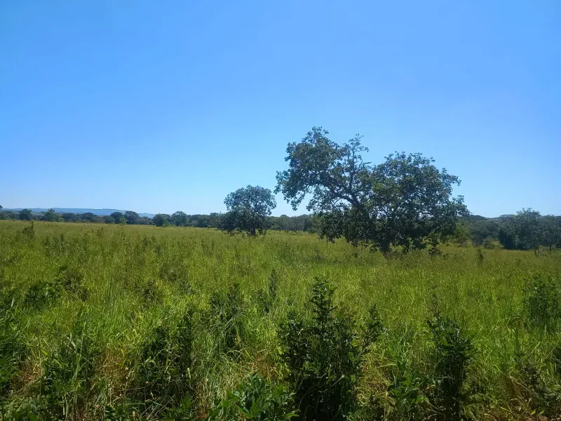 Fazenda em Francisco Dumont/Minas Gerais — Ref SPV50K — Imagem 10