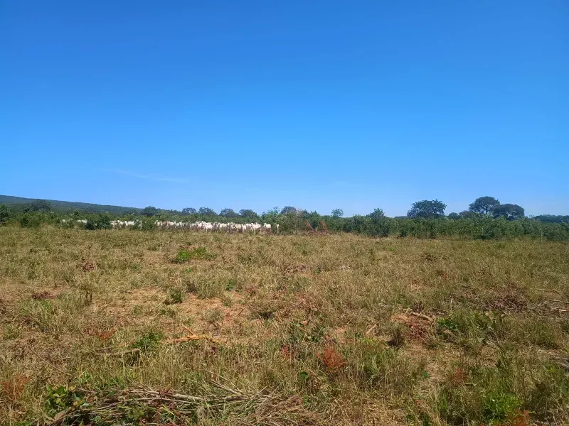 Fazenda em Francisco Dumont/Minas Gerais — Ref SPV50K — Imagem 11