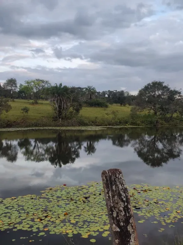 Fazenda em Goiânia/Goiás — Ref K4KPG6 — Imagem 20