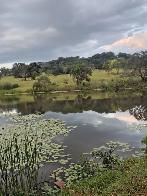 Fazenda em Goiânia/Goiás — Ref K4KPG6 — Imagem 21