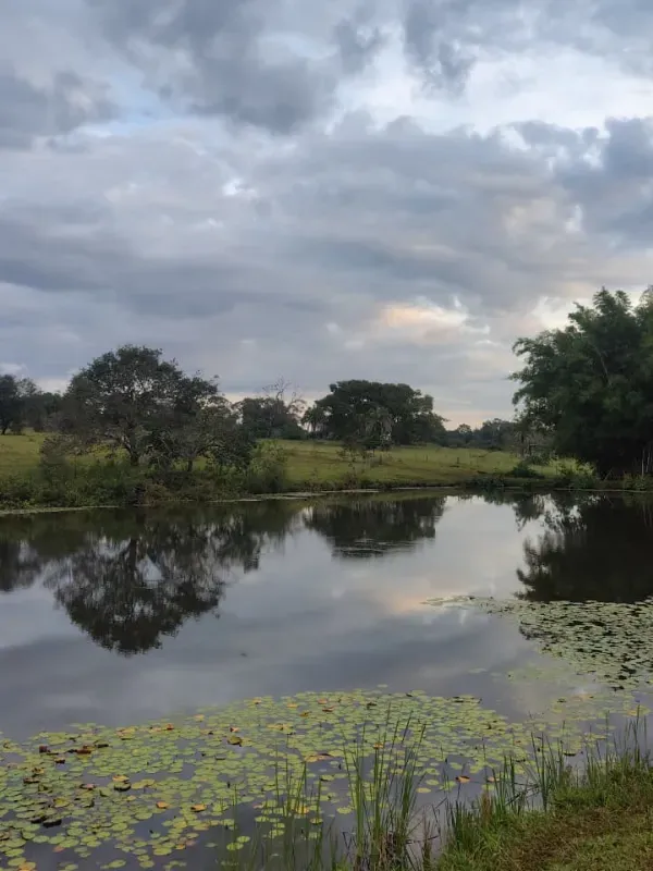Fazenda em Goiânia/Goiás — Ref K4KPG6 — Imagem 22
