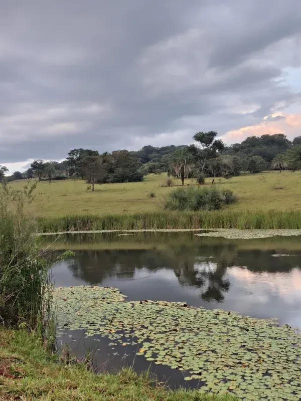 Fazenda em Goiânia/Goiás — Ref K4KPG6 — Imagem 23