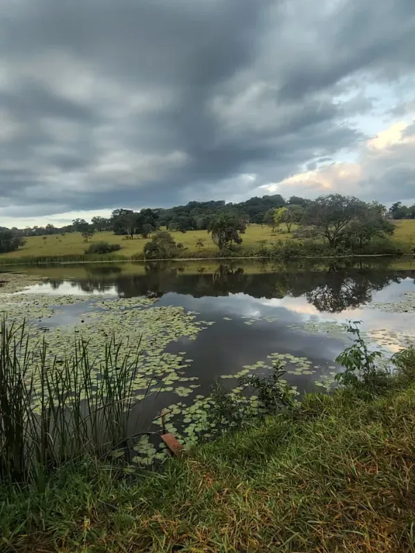 Fazenda em Goiânia/Goiás — Ref K4KPG6 — Imagem 24