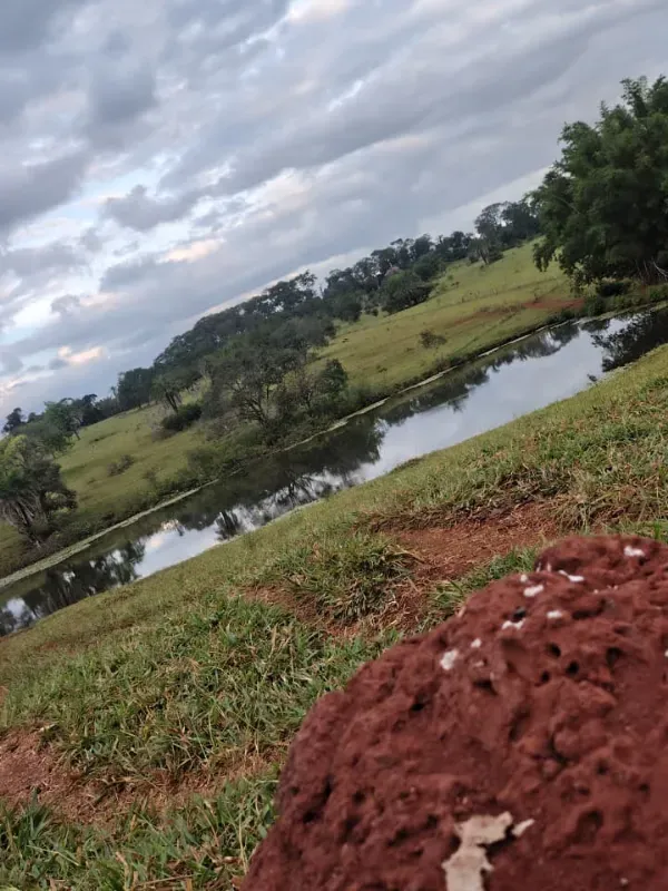 Fazenda em Goiânia/Goiás — Ref K4KPG6 — Imagem 26