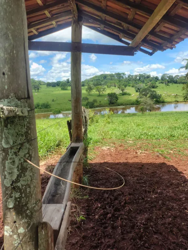 Fazenda em Goiânia/Goiás — Ref K4KPG6 — Imagem 6