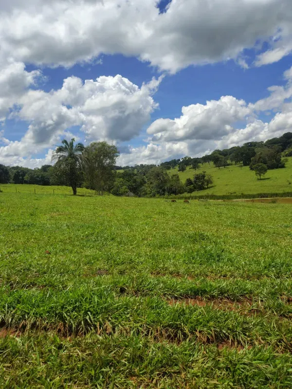 Fazenda em Goiânia/Goiás — Ref K4KPG6 — Imagem 8