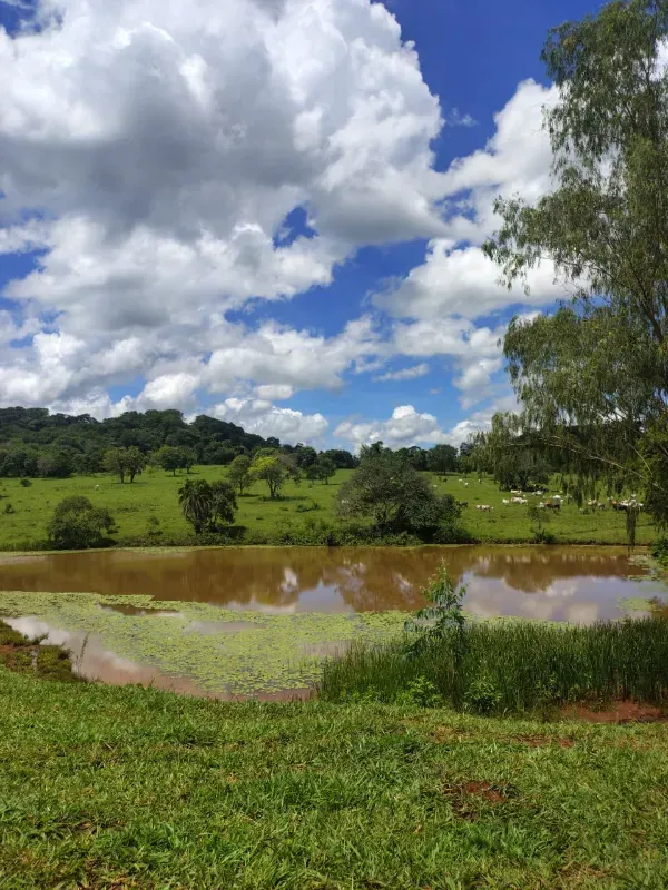 Imóvel rural em Goiânia/Goiás — Ref K4KPG61
