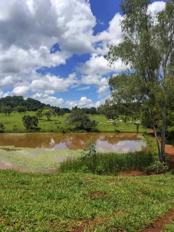 Fazenda em Goiânia/Goiás — Ref K4KPG6 — Imagem 9