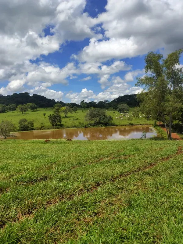 Fazenda em Goiânia/Goiás — Ref K4KPG6 — Imagem 10