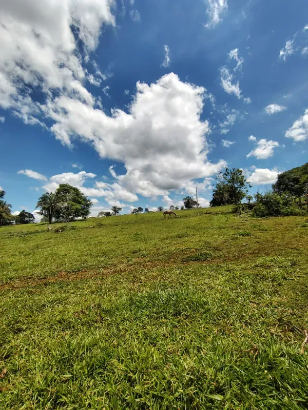 Fazenda em Goiânia/Goiás — Ref K4KPG6 — Imagem 12