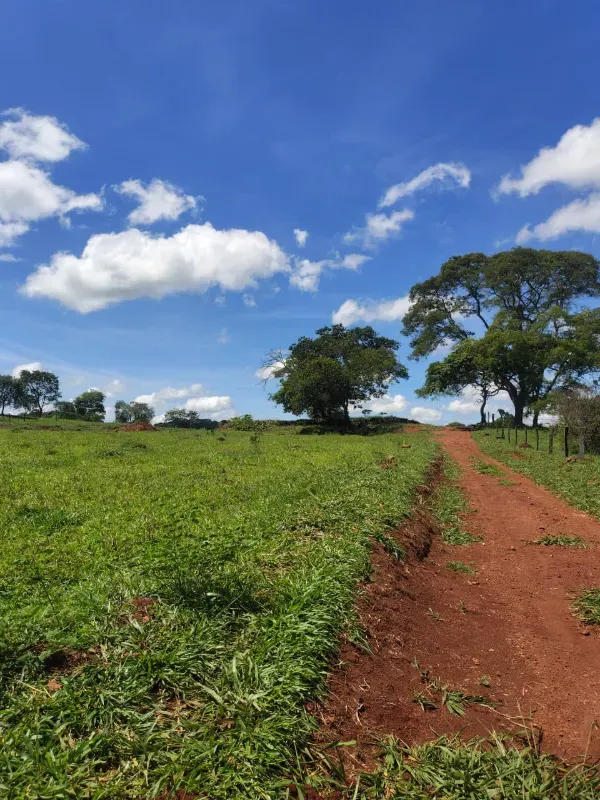Fazenda em Goiânia/Goiás — Ref K4KPG6 — Imagem 15