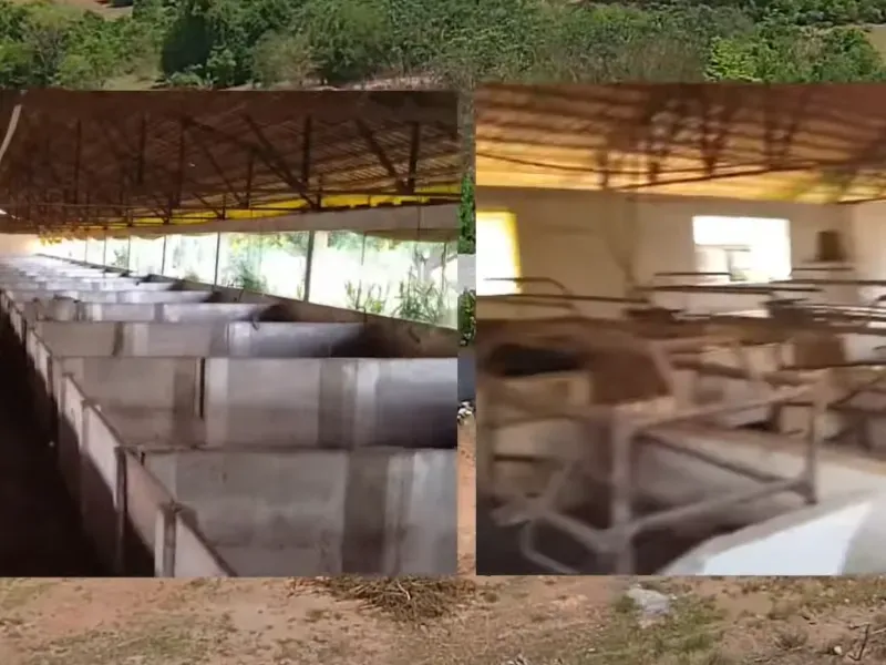 Fazenda em Goiatuba/Goiás — Ref T70RQZ — Imagem 5