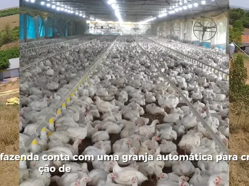 Fazenda em Goiatuba/Goiás — Ref T70RQZ — Imagem 4