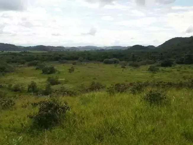 Fazenda em Guapimirim/Rio de Janeiro — Ref JQVYKH — Imagem 2