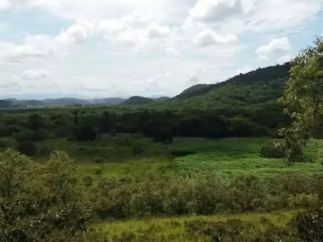 Fazenda em Guapimirim/Rio de Janeiro — Ref JQVYKH — Imagem 3
