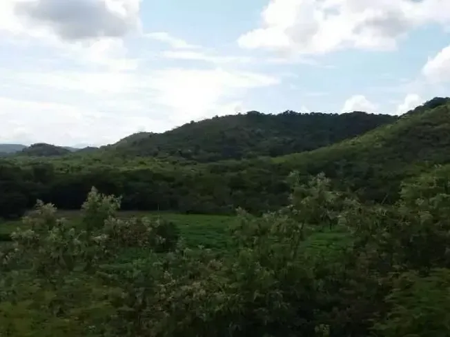 Fazenda em Guapimirim/Rio de Janeiro — Ref JQVYKH — Imagem 5