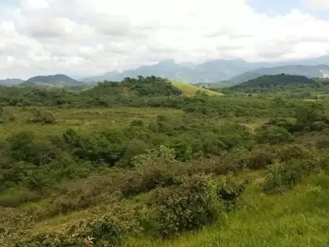 Fazenda em Guapimirim/Rio de Janeiro — Ref JQVYKH — Imagem 7