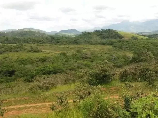 Fazenda em Guapimirim/Rio de Janeiro — Ref JQVYKH — Imagem 10