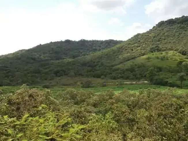 Fazenda em Guapimirim/Rio de Janeiro — Ref JQVYKH — Imagem 11