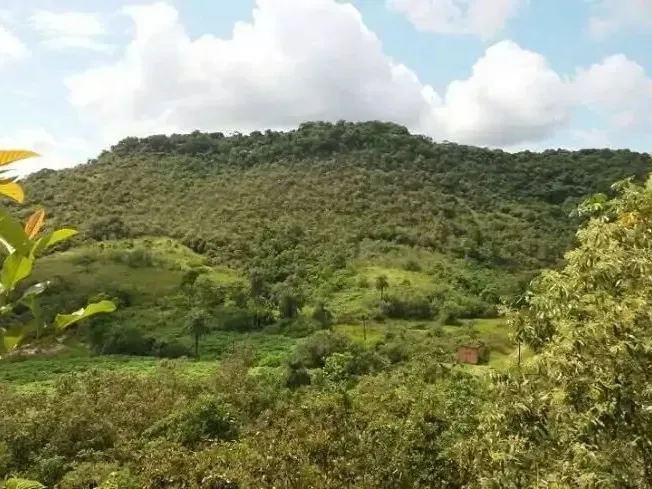 Fazenda em Guapimirim/Rio de Janeiro — Ref JQVYKH — Imagem 13