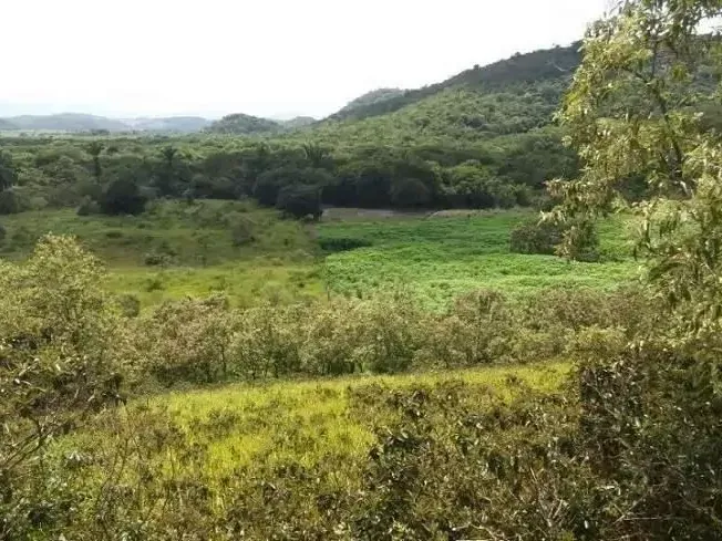 Fazenda em Guapimirim/Rio de Janeiro — Ref JQVYKH — Imagem 14