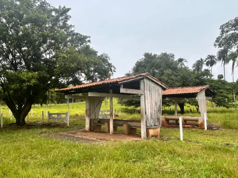 Fazenda em Guapó/Goiás — Ref UN6DRU — Imagem 19
