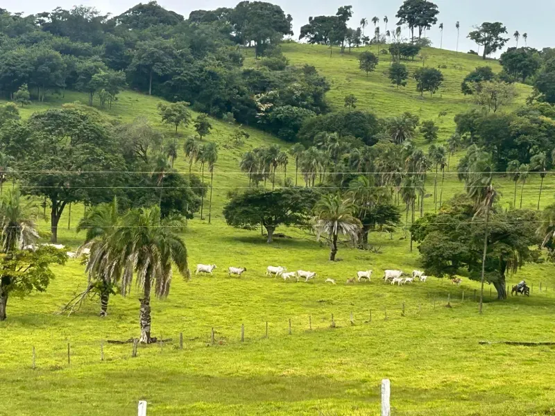 Fazenda em Guapó/Goiás — Ref UN6DRU — Imagem 3