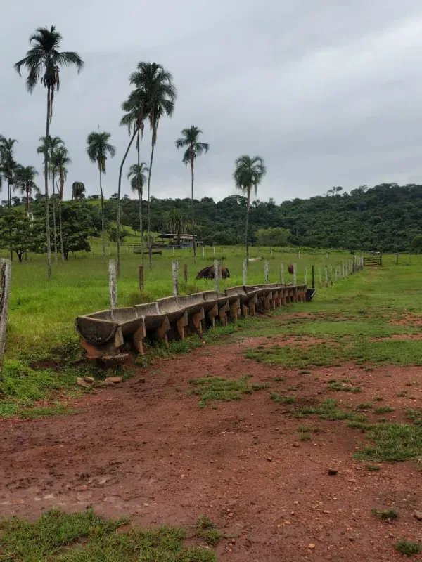 Fazenda em Guapó/Goiás — Ref UN6DRU — Imagem 8