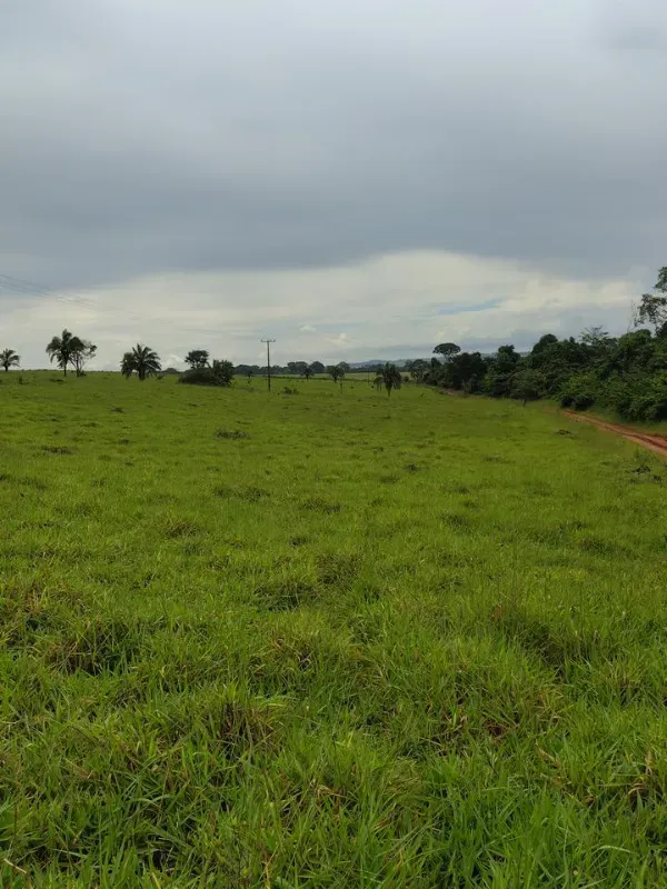 Fazenda em Guapó/Goiás — Ref UN6DRU — Imagem 10