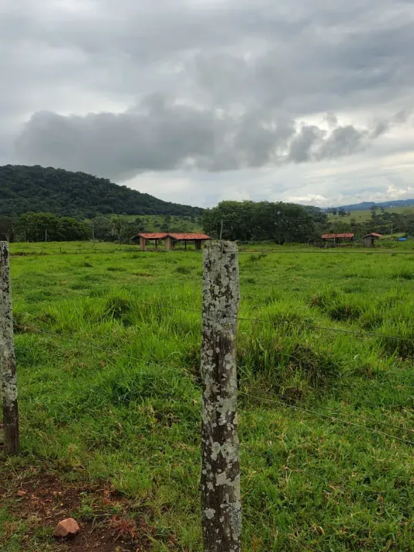 Fazenda em Guapó/Goiás — Ref UN6DRU — Imagem 12