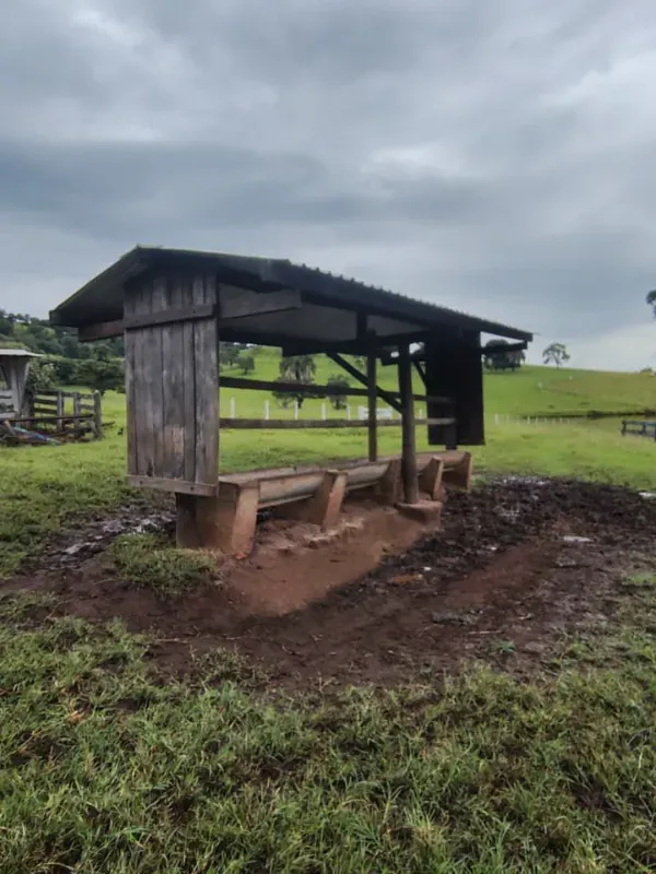 Fazenda em Guapó/Goiás — Ref UN6DRU — Imagem 9