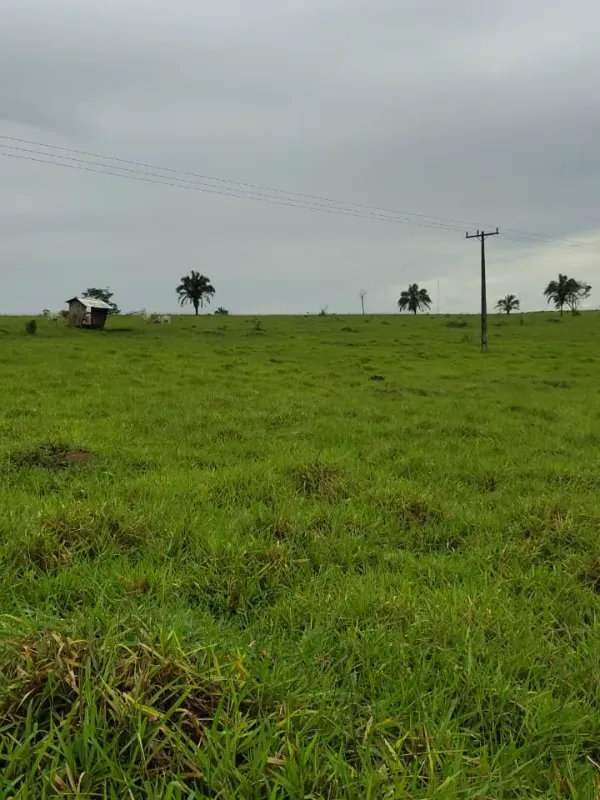 Fazenda em Guapó/Goiás — Ref UN6DRU — Imagem 13
