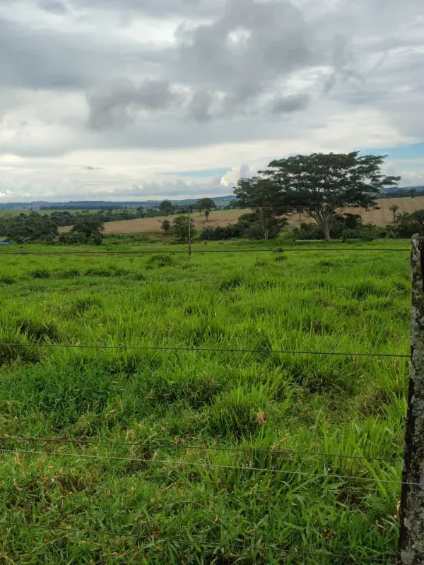 Fazenda em Guapó/Goiás — Ref UN6DRU — Imagem 14