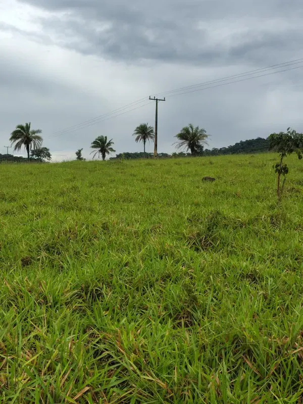 Fazenda em Guapó/Goiás — Ref UN6DRU — Imagem 15