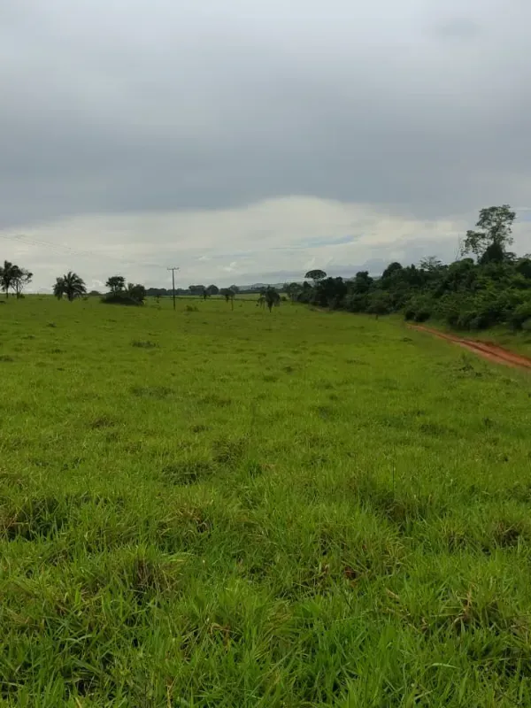 Fazenda em Guapó/Goiás — Ref UN6DRU — Imagem 16