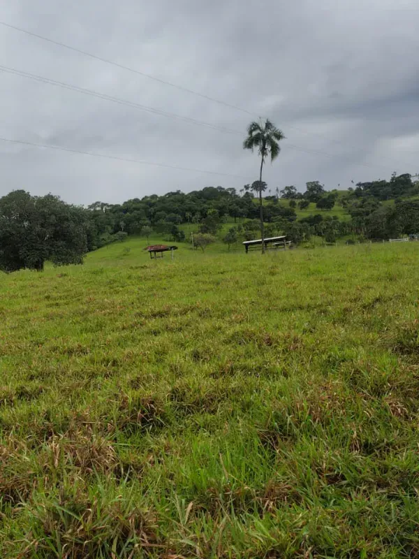 Fazenda em Guapó/Goiás — Ref UN6DRU — Imagem 5