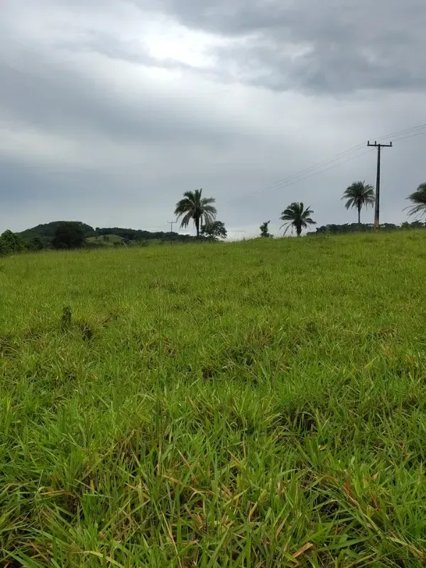 Fazenda em Guapó/Goiás — Ref UN6DRU — Imagem 17