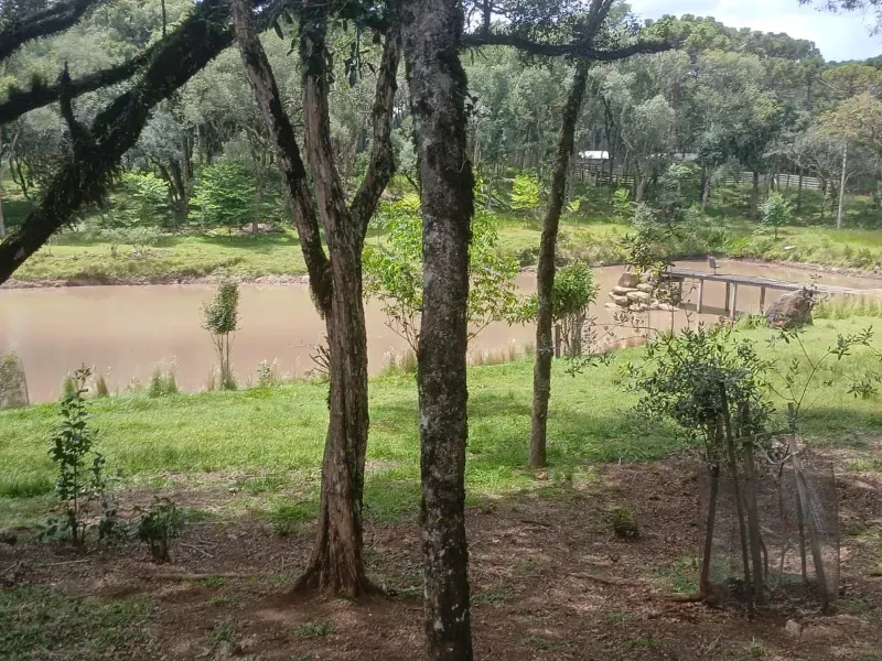 Fazenda em Guarapuava/Paraná — Ref V06DV8 — Imagem 3