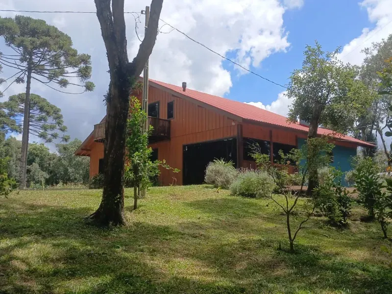 Fazenda em Guarapuava/Paraná — Ref V06DV8 — Imagem 4