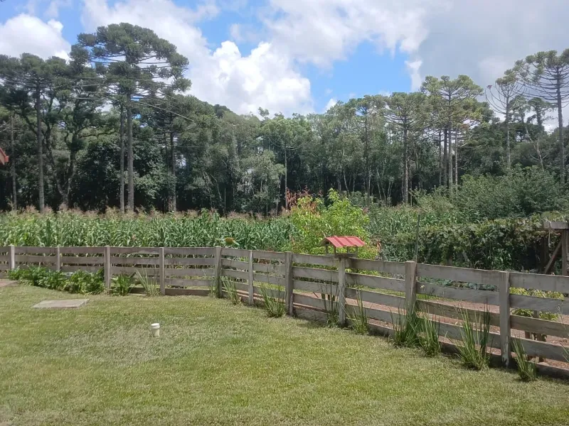 Fazenda em Guarapuava/Paraná — Ref V06DV8 — Imagem 6