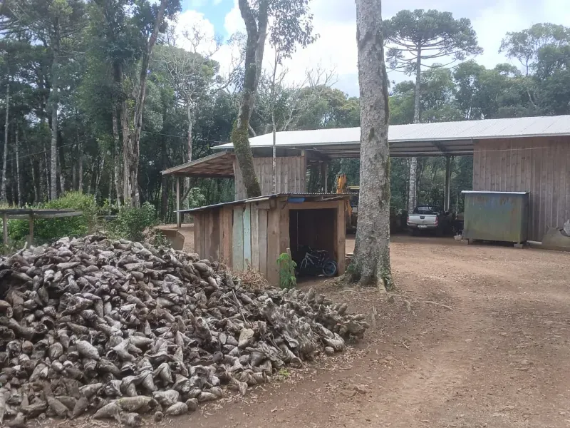Fazenda em Guarapuava/Paraná — Ref V06DV8 — Imagem 8
